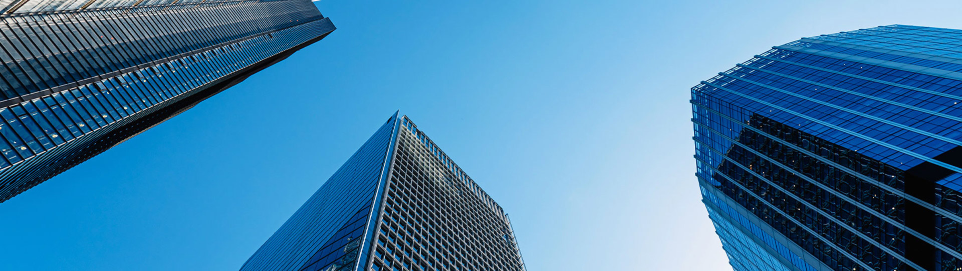 Company Profile 